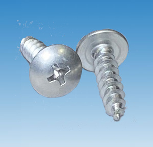 Phillips Truss Tapping Screws Type A
